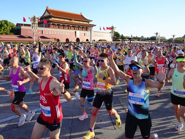 人类以外最聪明10大动物，乌鸦也能榜上有名 - kaiyun.com